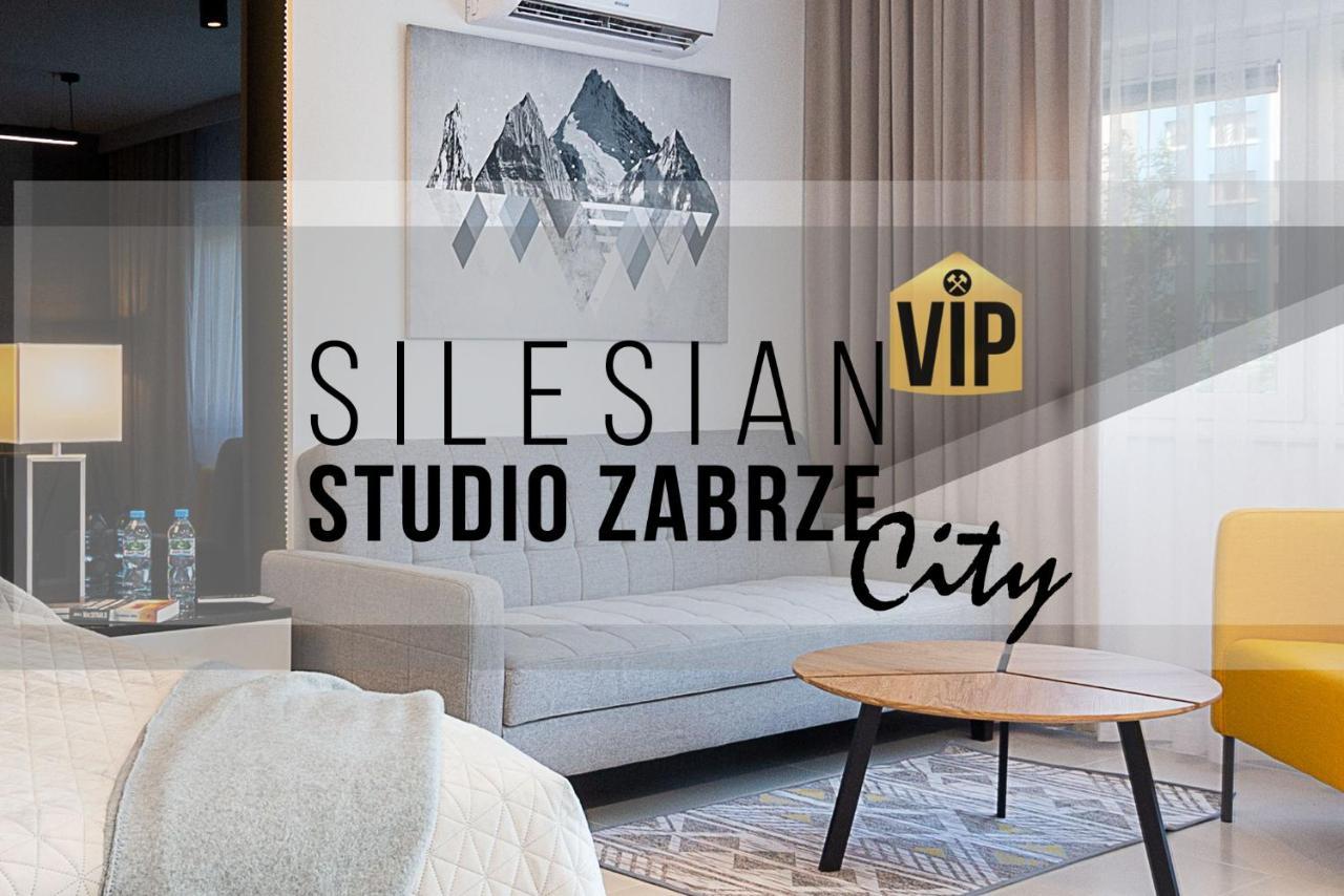Studio Silesian Vip City Centrum Free Parking Zabrze Zewnętrze zdjęcie